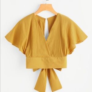 V-cut back tie crop blouse